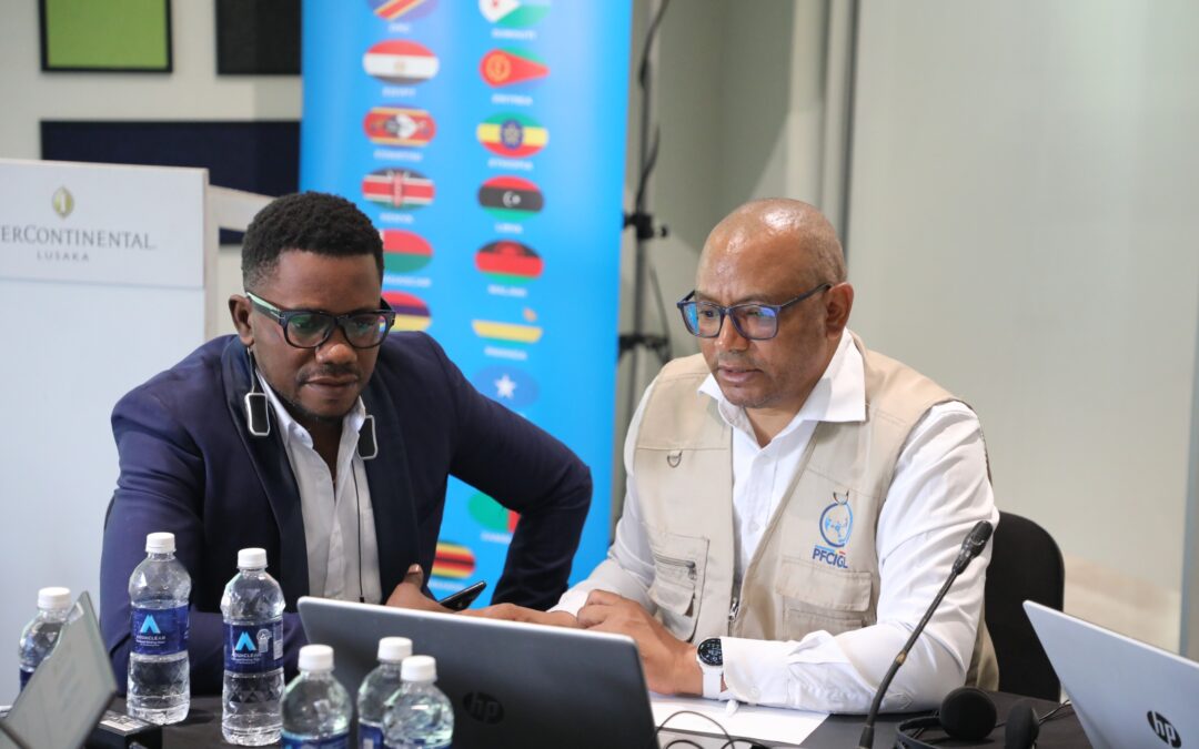Le COMESA renforce la stratégie de communication du PFCIGL pour faciliter les échanges transfrontaliers