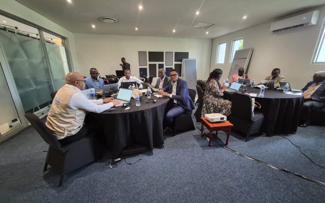 Lusaka : le PFCIGL – RDC, Burundi et COMESA renforcent la stratégie de communication régionale au service du commerce transfrontalier