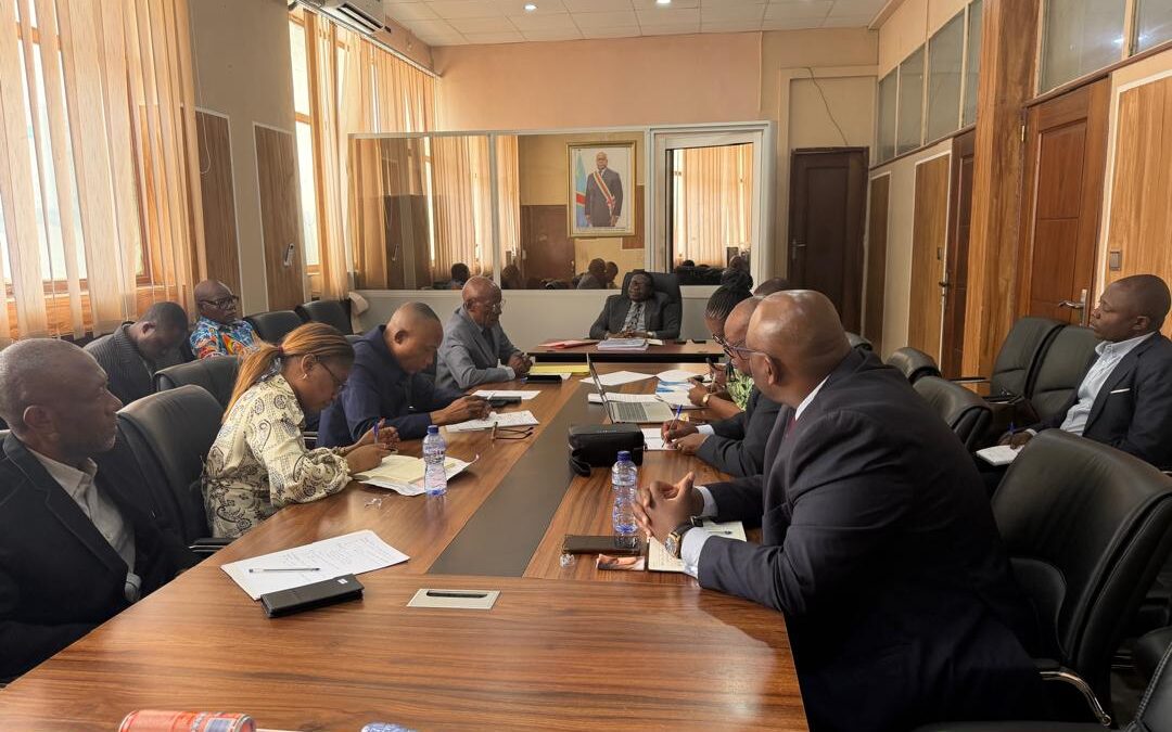 SADC : Les experts examinent les fondements techniques des concessions tarifaires de la RDC
